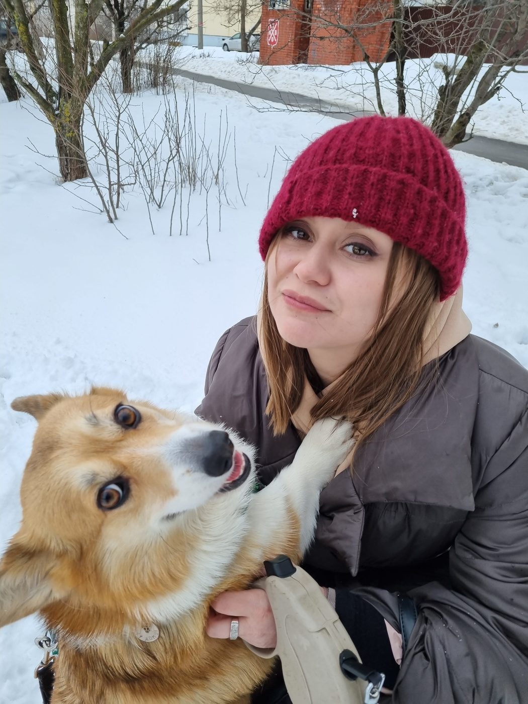 Ольга с корги зимой
